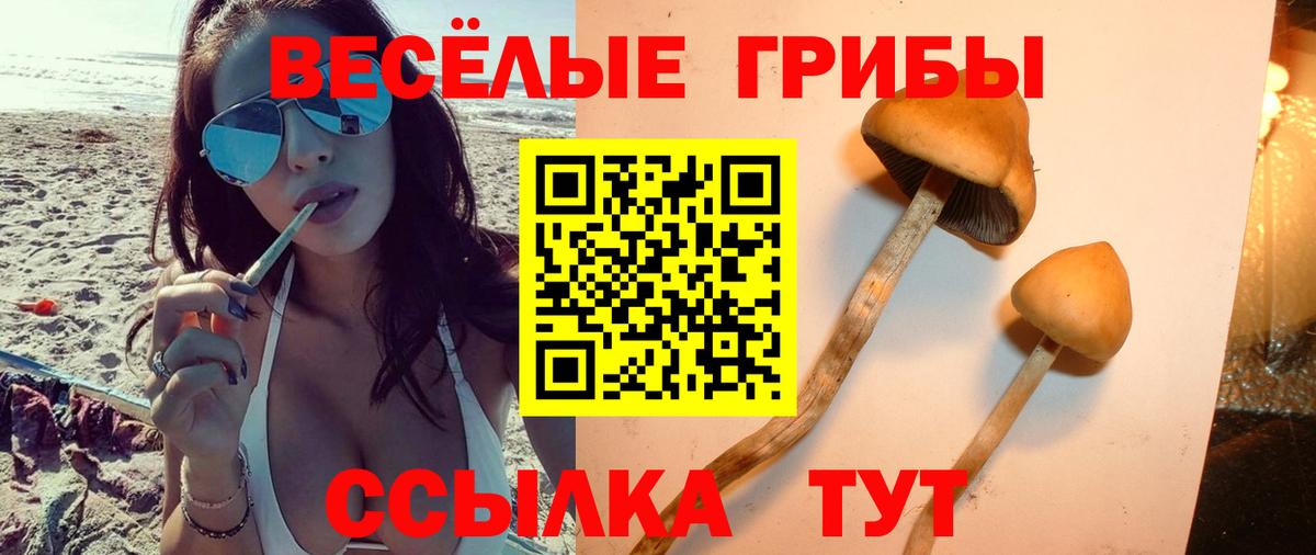 как найти закладки  Артёмовский  Псилоцибиновые грибы GOLDEN TEACHER  Галлюциногенные грибы прущие грибы 