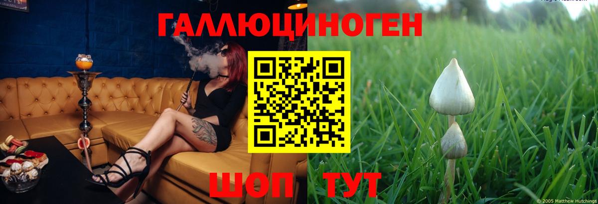 Метамфетамин  A PVP СОЛЬ кристаллы  Артёмовский  Меф МЯУ МЯУ кристаллы  Меф кристаллы  ГАШ  Канабис  COCAIN 